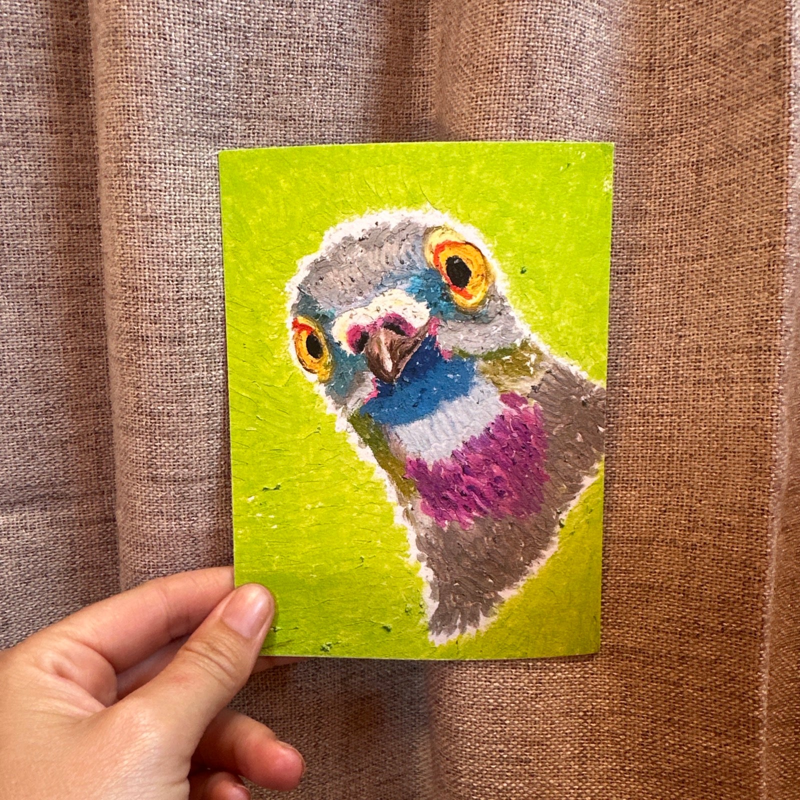 Connie pigeon